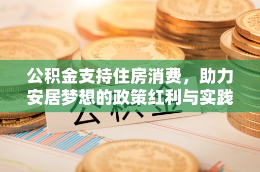 雷州公积金支持住房消费，助力安居梦想的政策红利与实践