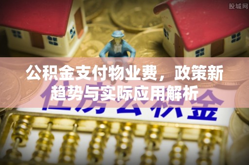 雷州公积金支付物业费，政策新趋势与实际应用解析