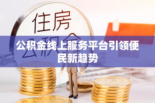 雷州公积金线上服务平台引领便民新趋势