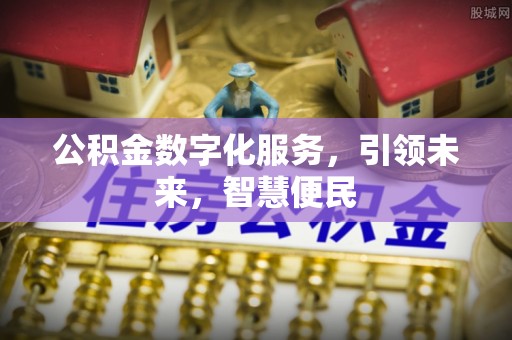 雷州公积金数字化服务，引领未来，智慧便民