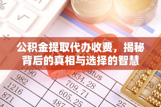 雷州公积金提取代办收费，揭秘背后的真相与选择的智慧