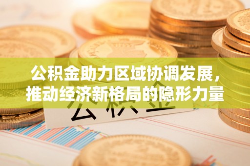 雷州公积金助力区域协调发展，推动经济新格局的隐形力量