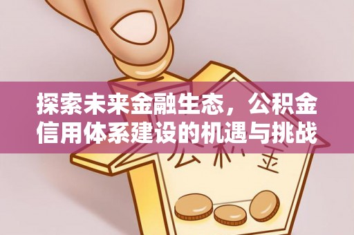 雷州探索未来金融生态，公积金信用体系建设的机遇与挑战