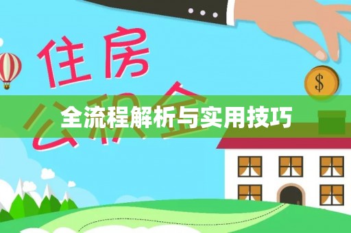 雷州全流程解析与实用技巧