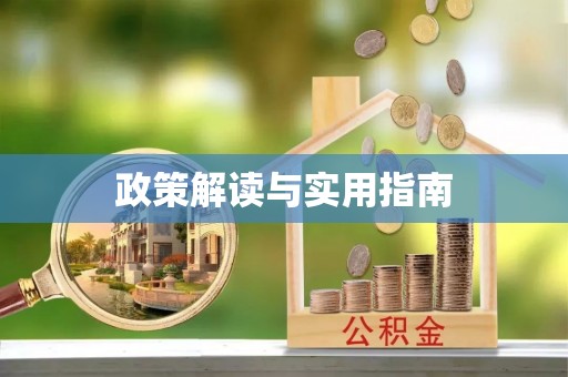 雷州政策解读与实用指南