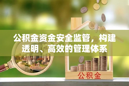 雷州公积金资金安全监管，构建透明、高效的管理体系