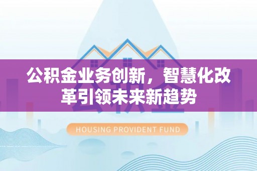 雷州公积金业务创新，智慧化改革引领未来新趋势