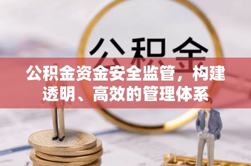 雷州公积金资金安全监管，构建透明、高效的管理体系