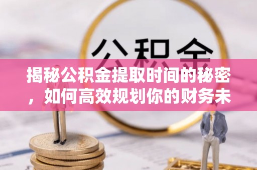 雷州揭秘公积金提取时间的秘密，如何高效规划你的财务未来