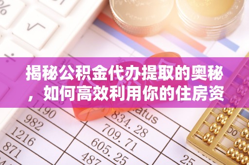 雷州揭秘公积金代办提取的奥秘，如何高效利用你的住房资金