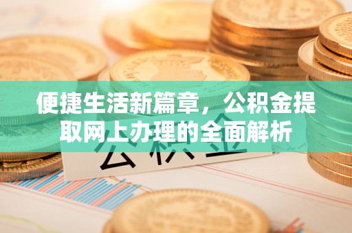 雷州便捷生活新篇章，公积金提取网上办理的全面解析