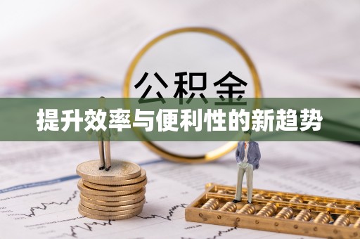 雷州提升效率与便利性的新趋势