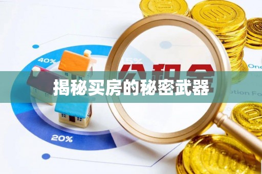 雷州揭秘买房的秘密武器