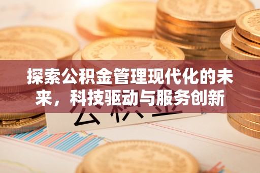 雷州探索公积金管理现代化的未来，科技驱动与服务创新