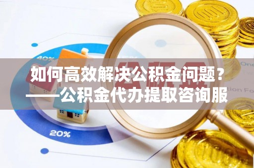 雷州如何高效解决公积金问题？——公积金代办提取咨询服务指南