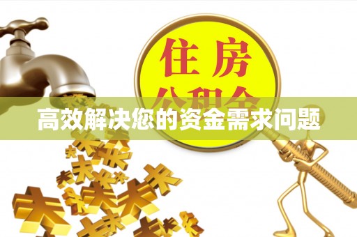 雷州高效解决您的资金需求问题