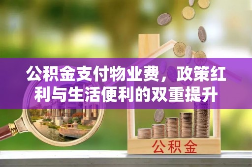 雷州公积金支付物业费，政策红利与生活便利的双重提升