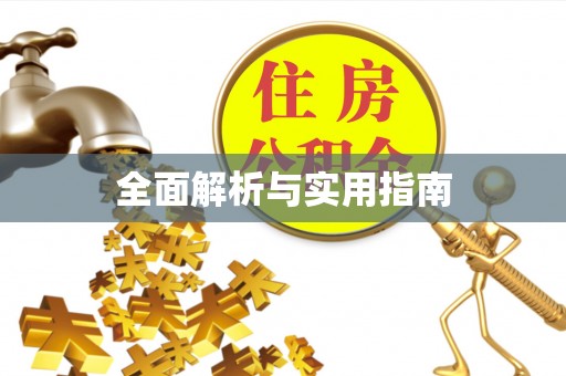 雷州全面解析与实用指南