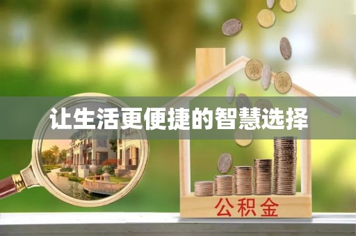 雷州让生活更便捷的智慧选择