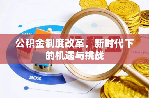 雷州公积金制度改革，新时代下的机遇与挑战