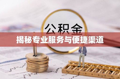 雷州揭秘专业服务与便捷渠道