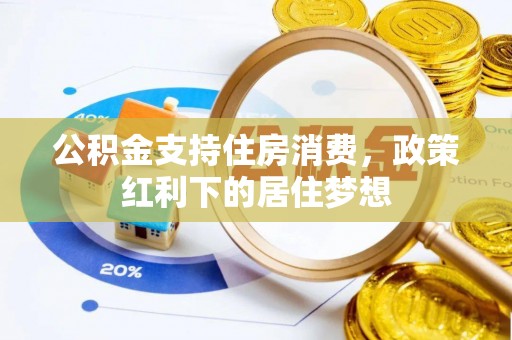 雷州公积金支持住房消费，政策红利下的居住梦想