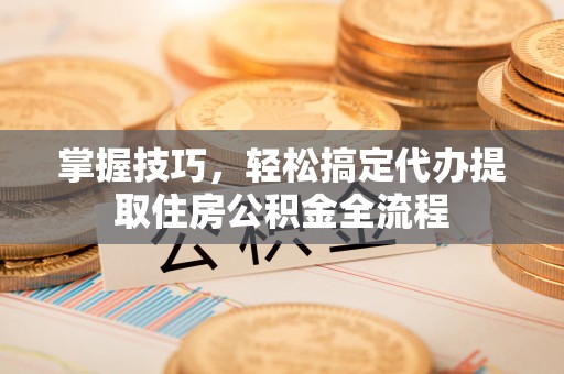 雷州掌握技巧，轻松搞定代办提取住房公积金全流程