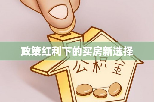 雷州政策红利下的买房新选择
