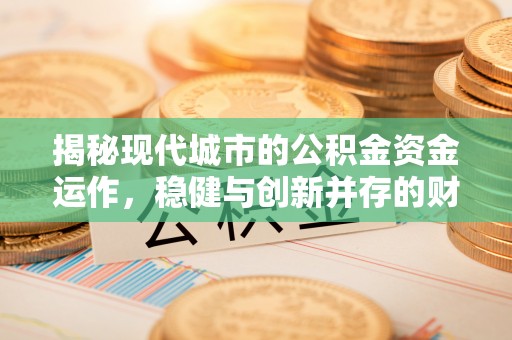 雷州揭秘现代城市的公积金资金运作，稳健与创新并存的财富管理之道