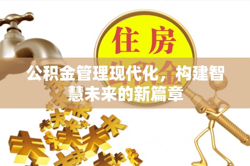 雷州公积金管理现代化，构建智慧未来的新篇章