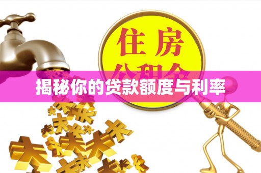雷州揭秘你的贷款额度与利率