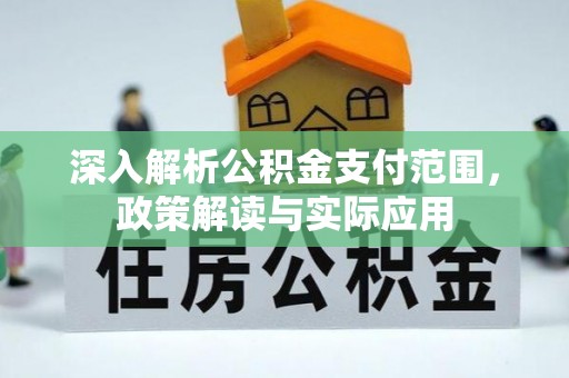 雷州深入解析公积金支付范围，政策解读与实际应用