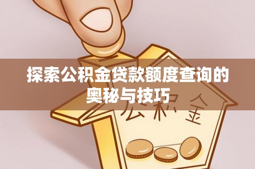 雷州探索公积金贷款额度查询的奥秘与技巧