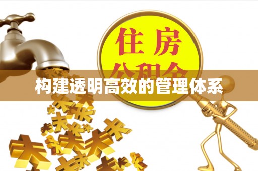 雷州构建透明高效的管理体系