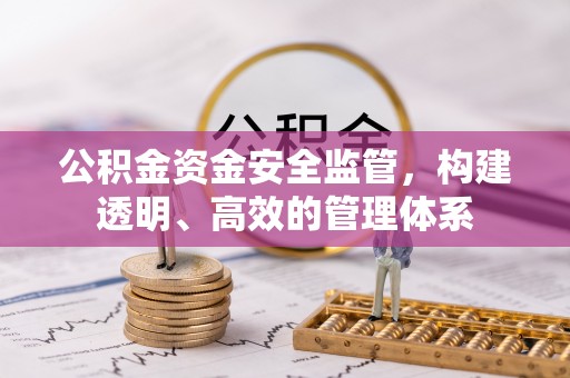 雷州公积金资金安全监管，构建透明、高效的管理体系