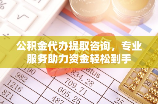 雷州公积金代办提取咨询，专业服务助力资金轻松到手