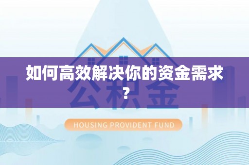 雷州如何高效解决你的资金需求？