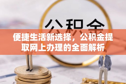 雷州便捷生活新选择，公积金提取网上办理的全面解析