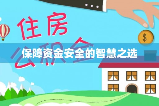 雷州保障资金安全的智慧之选