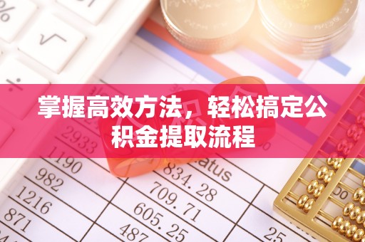 雷州掌握高效方法，轻松搞定公积金提取流程