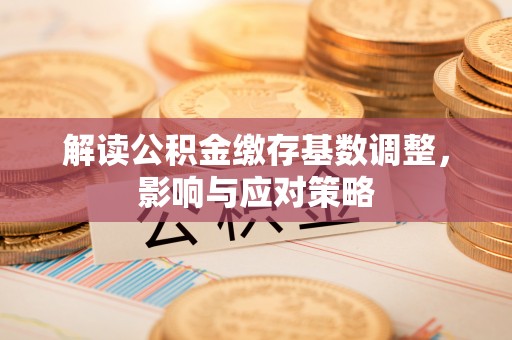 雷州解读公积金缴存基数调整，影响与应对策略