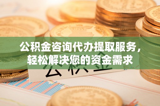 雷州公积金咨询代办提取服务，轻松解决您的资金需求