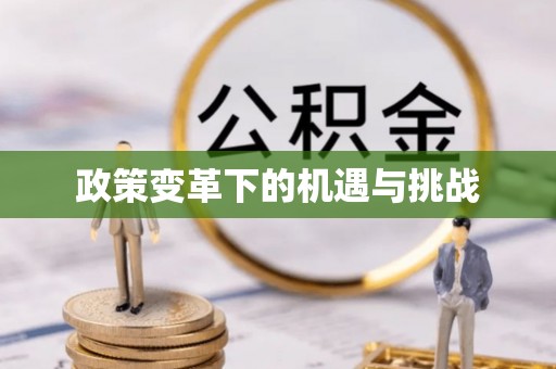 雷州政策变革下的机遇与挑战
