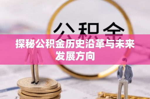 雷州探秘公积金历史沿革与未来发展方向