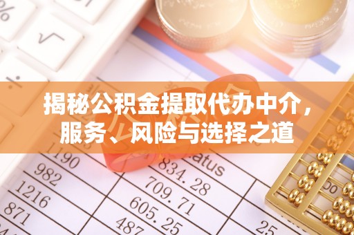 雷州揭秘公积金提取代办中介，服务、风险与选择之道