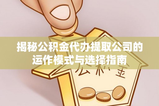 雷州揭秘公积金代办提取公司的运作模式与选择指南
