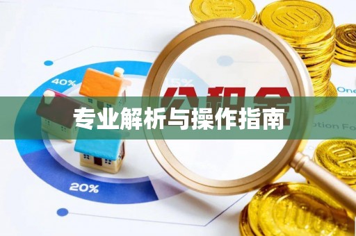 雷州专业解析与操作指南