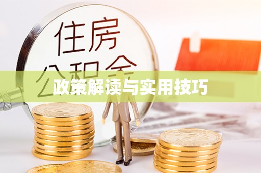 雷州政策解读与实用技巧