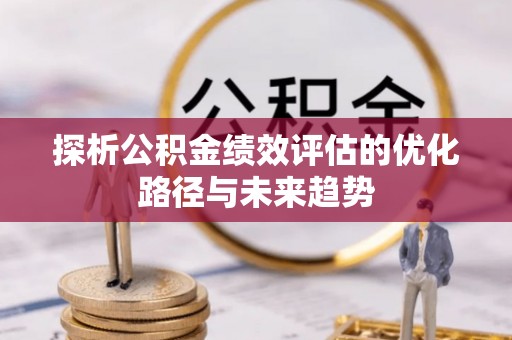 雷州探析公积金绩效评估的优化路径与未来趋势