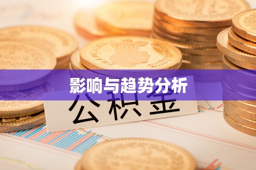 雷州影响与趋势分析